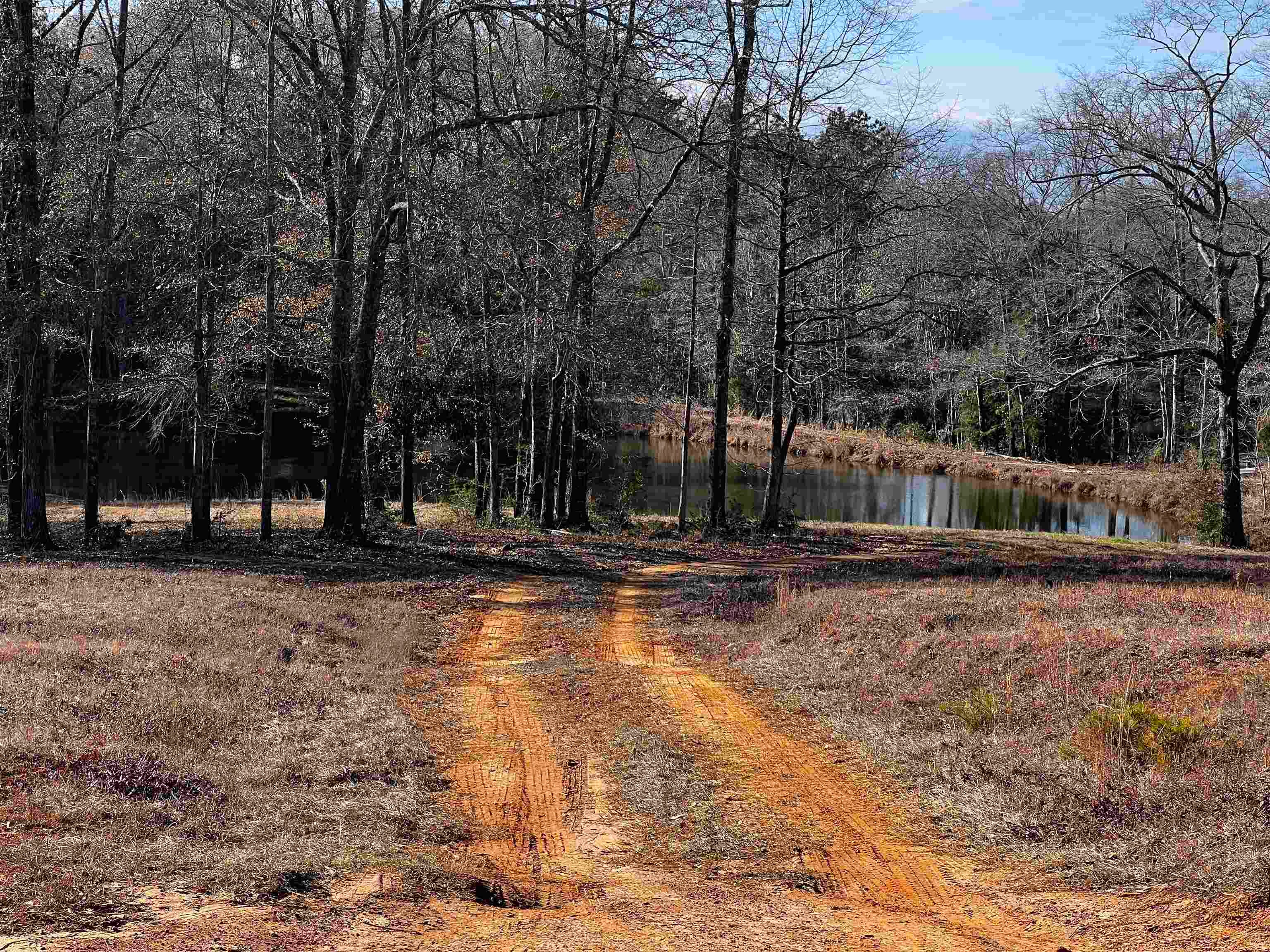 0 Co Road McKenzie, AL 36456 - Photo 11 of 16 Gallery Image 11