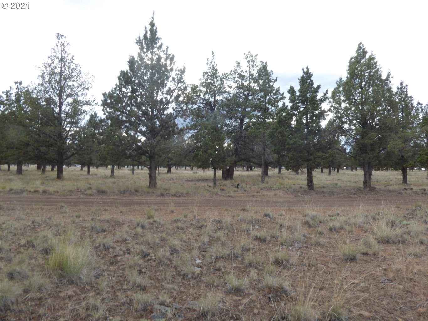 Southwest Jordan Road, Unit PARC3 Culver, OR 97734 - Photo 1 of 5 Gallery Image 1