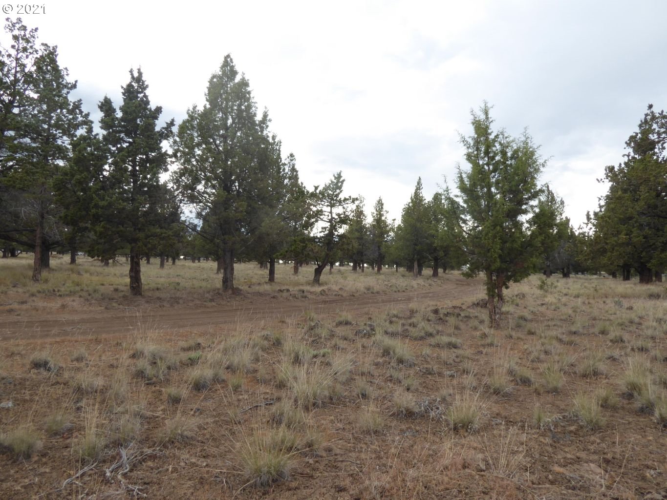 Southwest Jordan Road, Unit PARC3 Culver, OR 97734 - Photo 3 of 5 Gallery Image 3