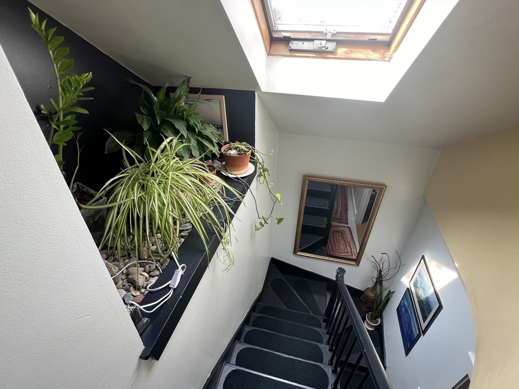 15 Orchard Street, Unit 15 Newton, MA 02458 - Photo 18 of 23