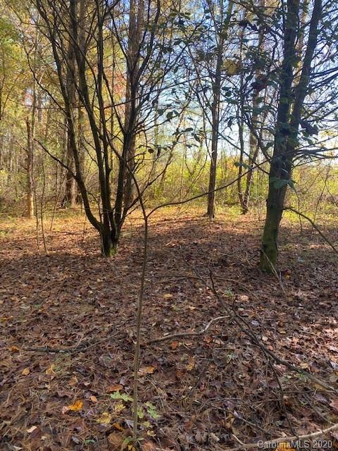 65 Clark Road Hendersonville, NC 28792 - Photo 3 of 8 a view of yard with trees