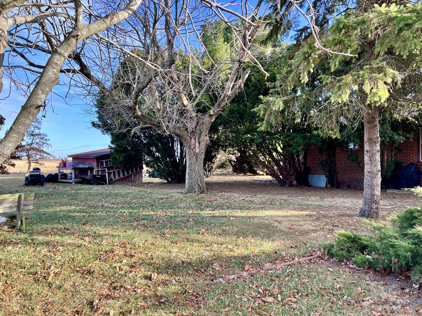 2102 County Road 2900 North Rantoul, IL 61866 - Photo 29 of 34 a view of a yard with a tree