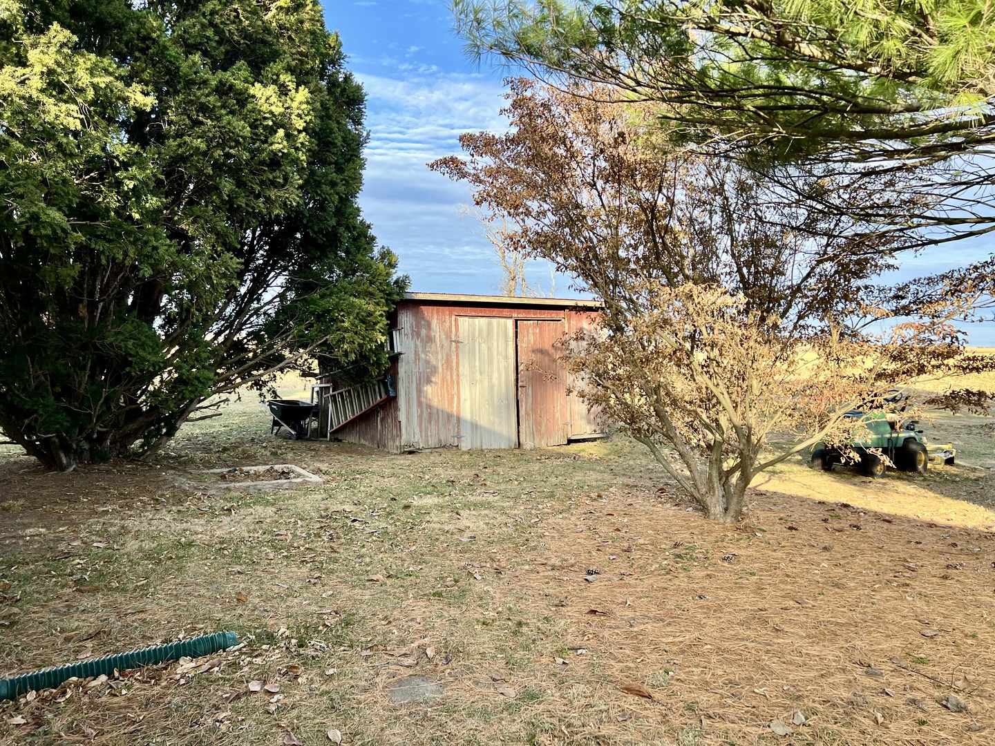2102 County Road 2900 North Rantoul, IL 61866 - Photo 33 of 34 a view of a house with a tree
