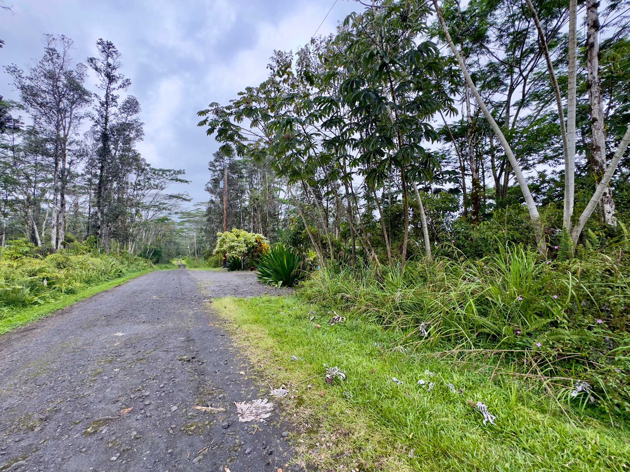 102 Ginger Road Pahoa, HI 96778 - Photo 3 of 5