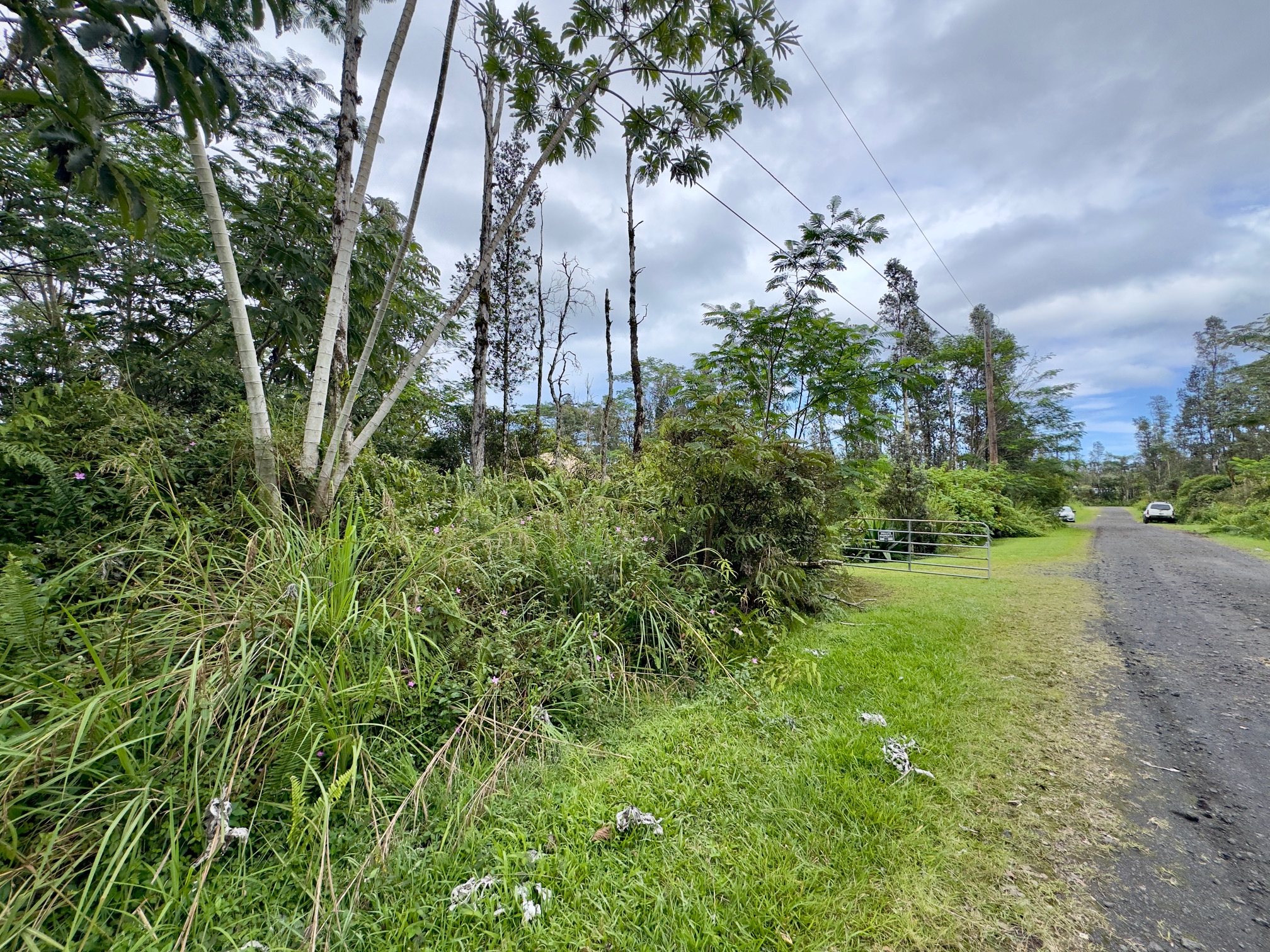 102 Ginger Road Pahoa, HI 96778 - Photo 4 of 5