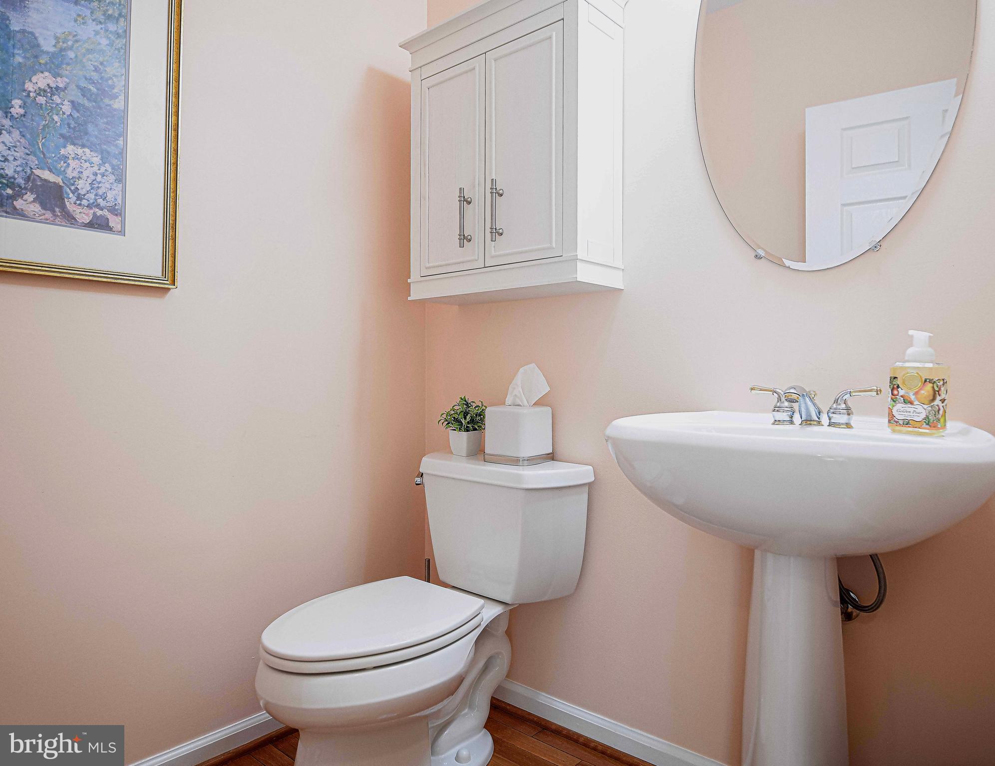 316 Native Dancer Circle Havre de Grace, MD 21078 - Photo 15 of 54 a bathroom with a toilet a sink and mirror