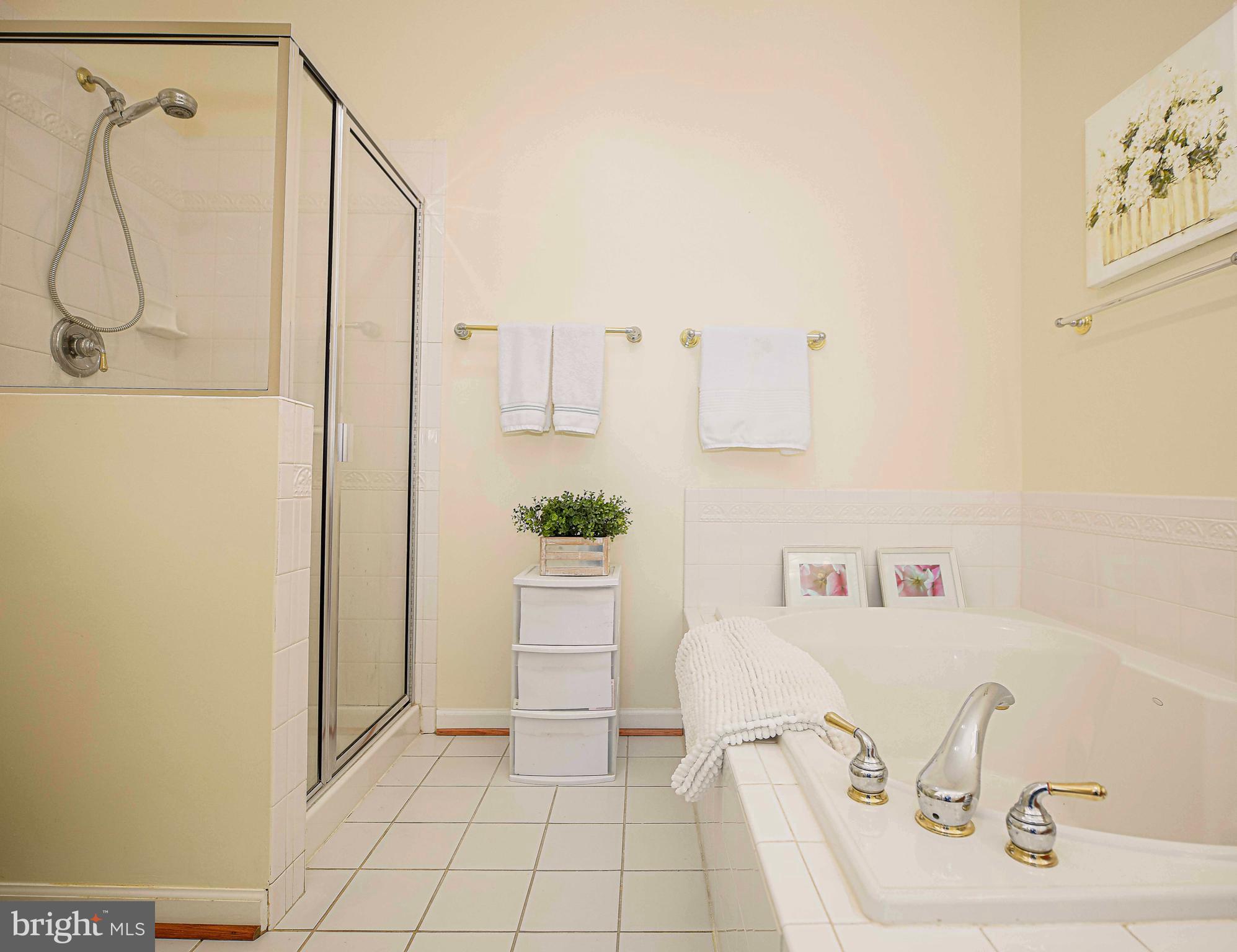 316 Native Dancer Circle Havre de Grace, MD 21078 - Photo 19 of 54 a bathroom with a sink and a mirror