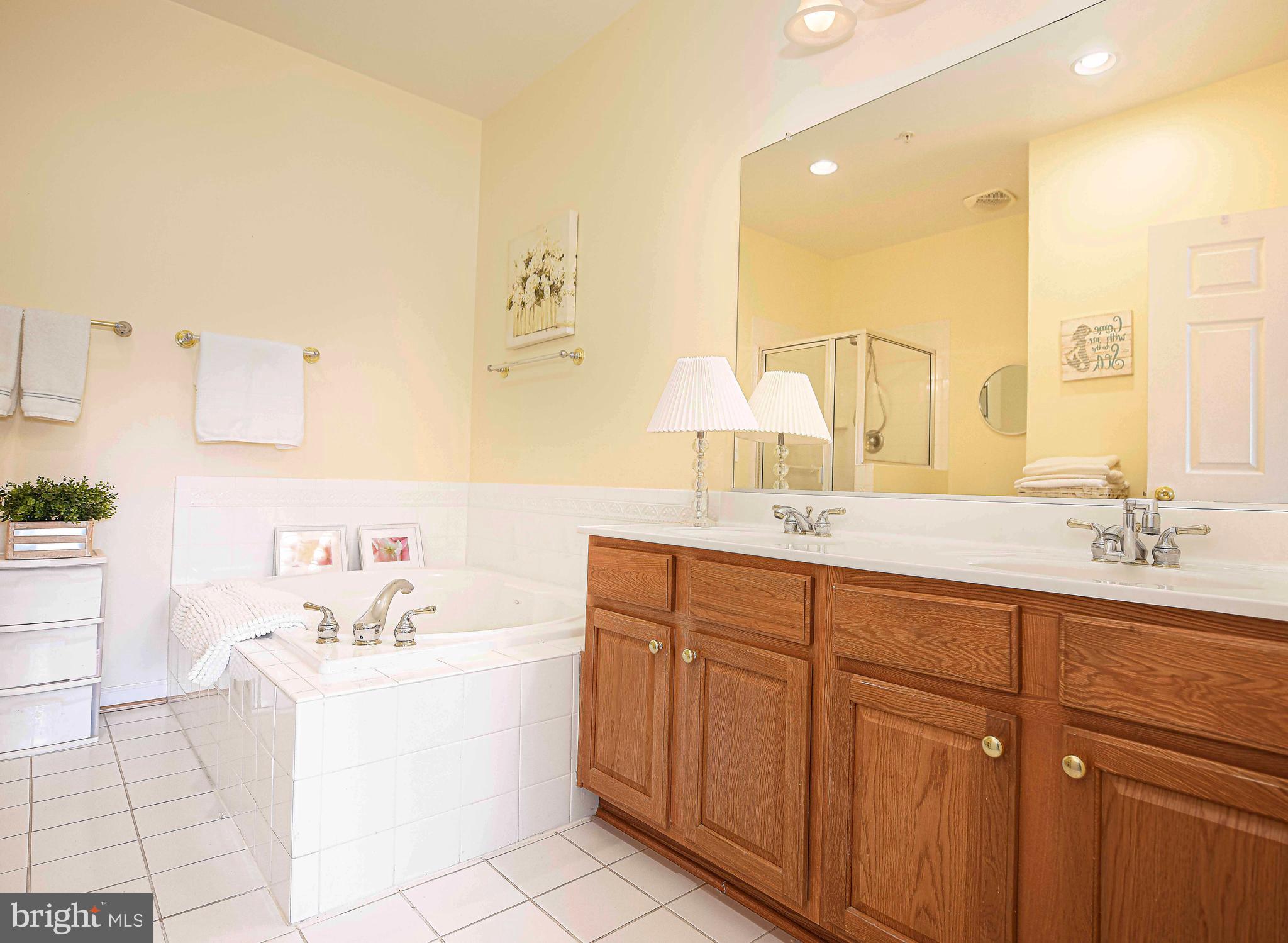 316 Native Dancer Circle Havre de Grace, MD 21078 - Photo 20 of 54 a bathroom with a sink vanity tub and a mirror