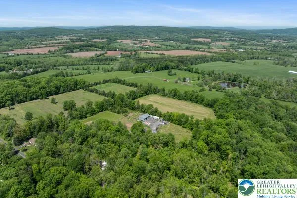 a view of a city with lush green forest