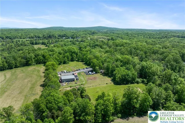 a view of a green yard with large trees