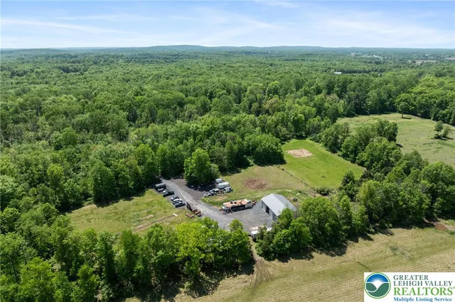 a view of a city with lush green forest