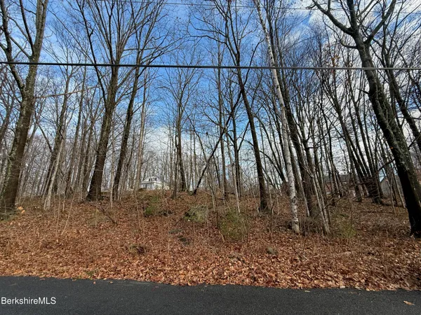 $29,900 | I110019004 Brown Street, Pittsfield, MA 01201