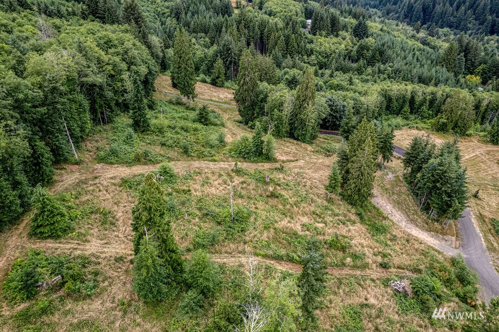 4 Bison Run Longview, WA 98632 - Photo 5 of 5 a view of a forest with trees in the background