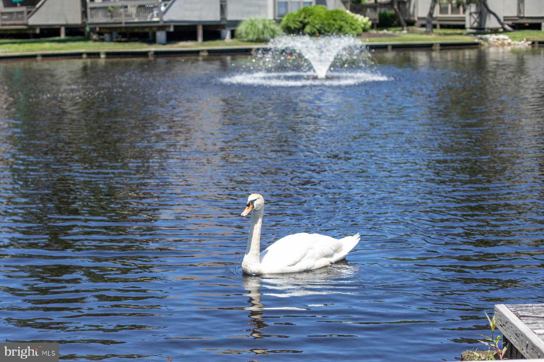 507 Farragut House Road Bethany Beach, DE 19930 - Photo 49 of 50