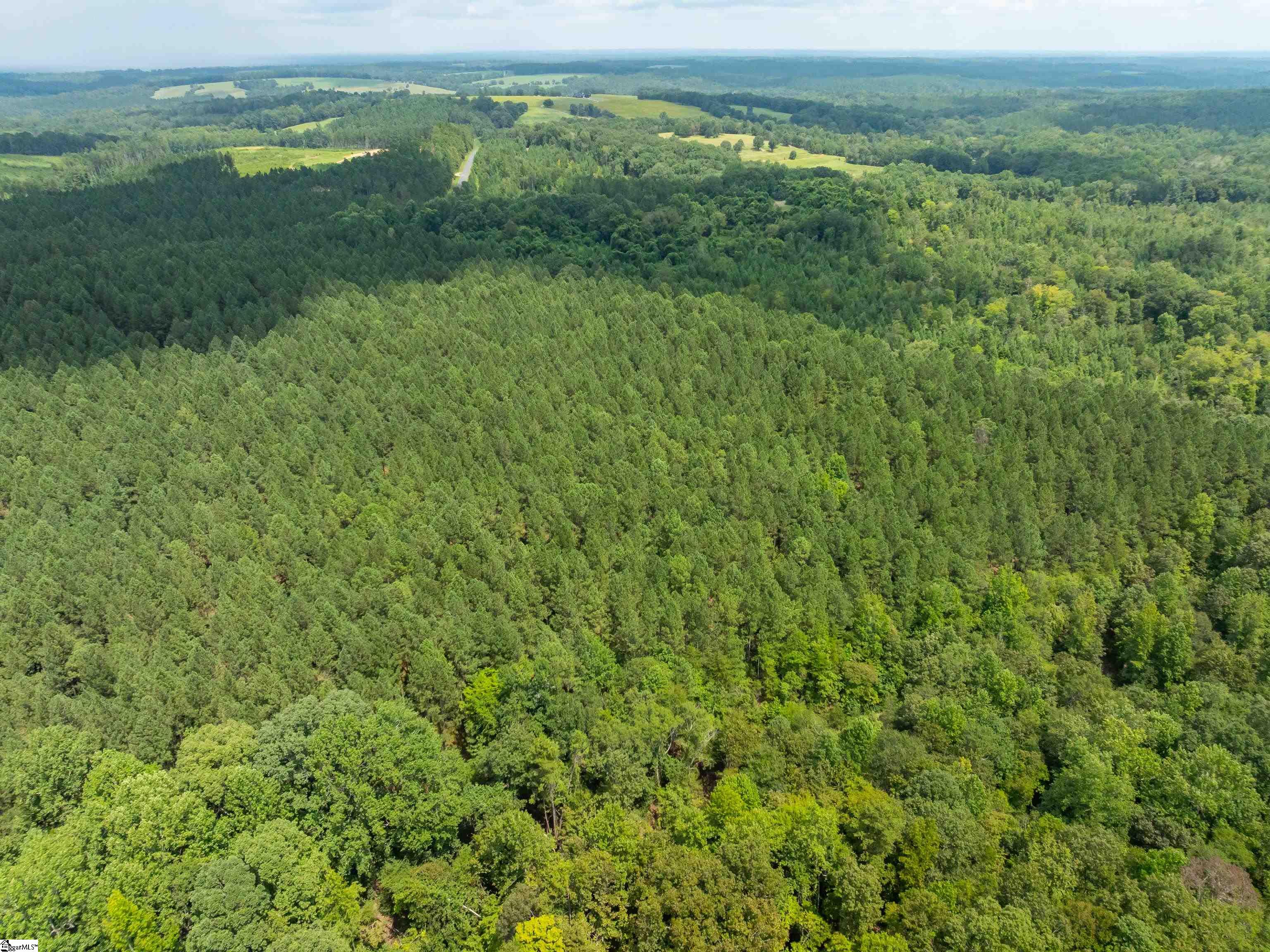 4 Gault Creek Road Jonesville, SC 29353 - Photo 20 of 37