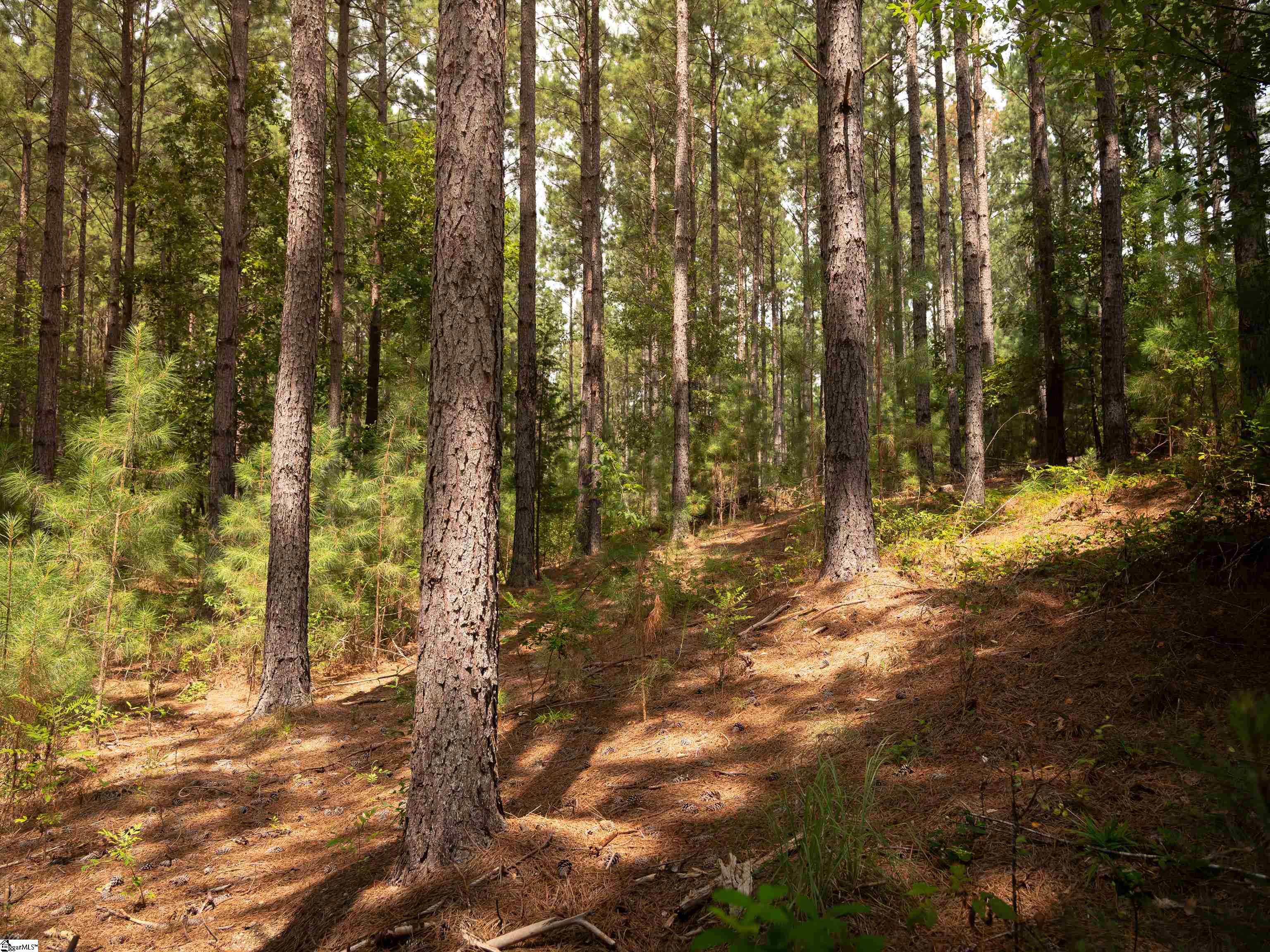 4 Gault Creek Road Jonesville, SC 29353 - Photo 30 of 37