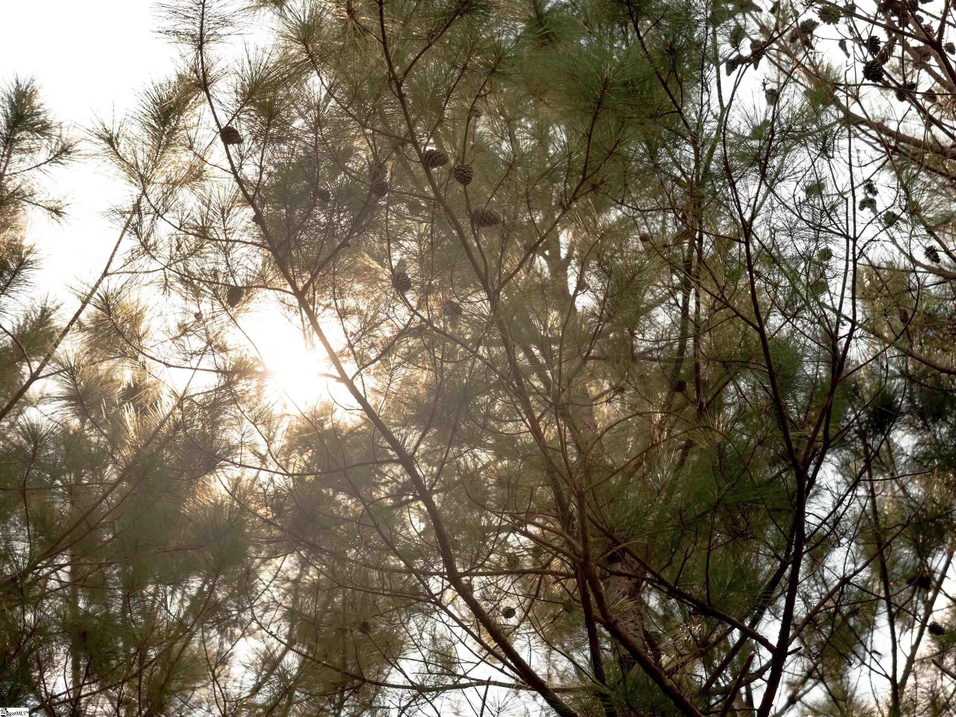 4 Gault Creek Road Jonesville, SC 29353 - Photo 32 of 37