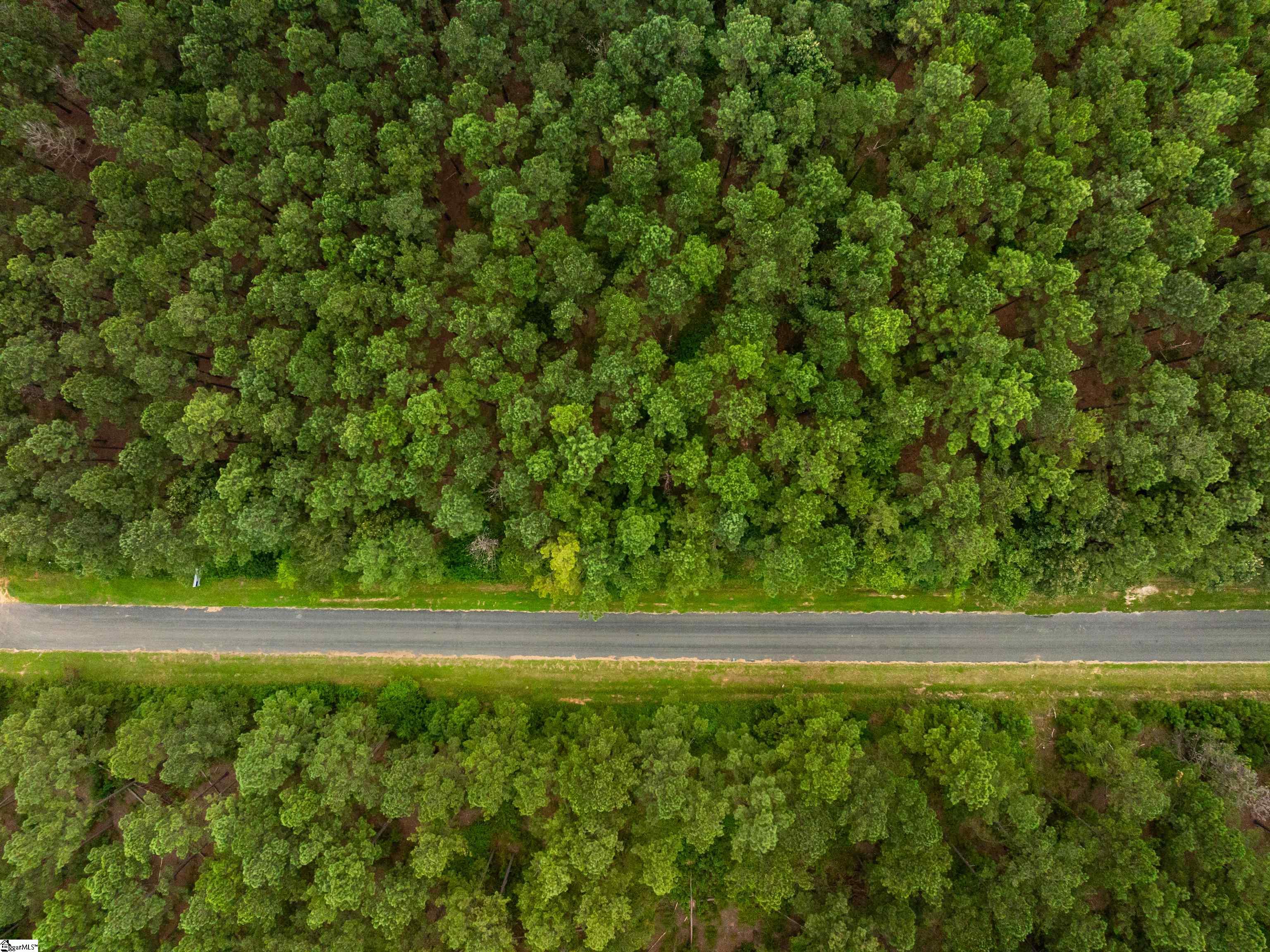 4 Gault Creek Road Jonesville, SC 29353 - Photo 6 of 37