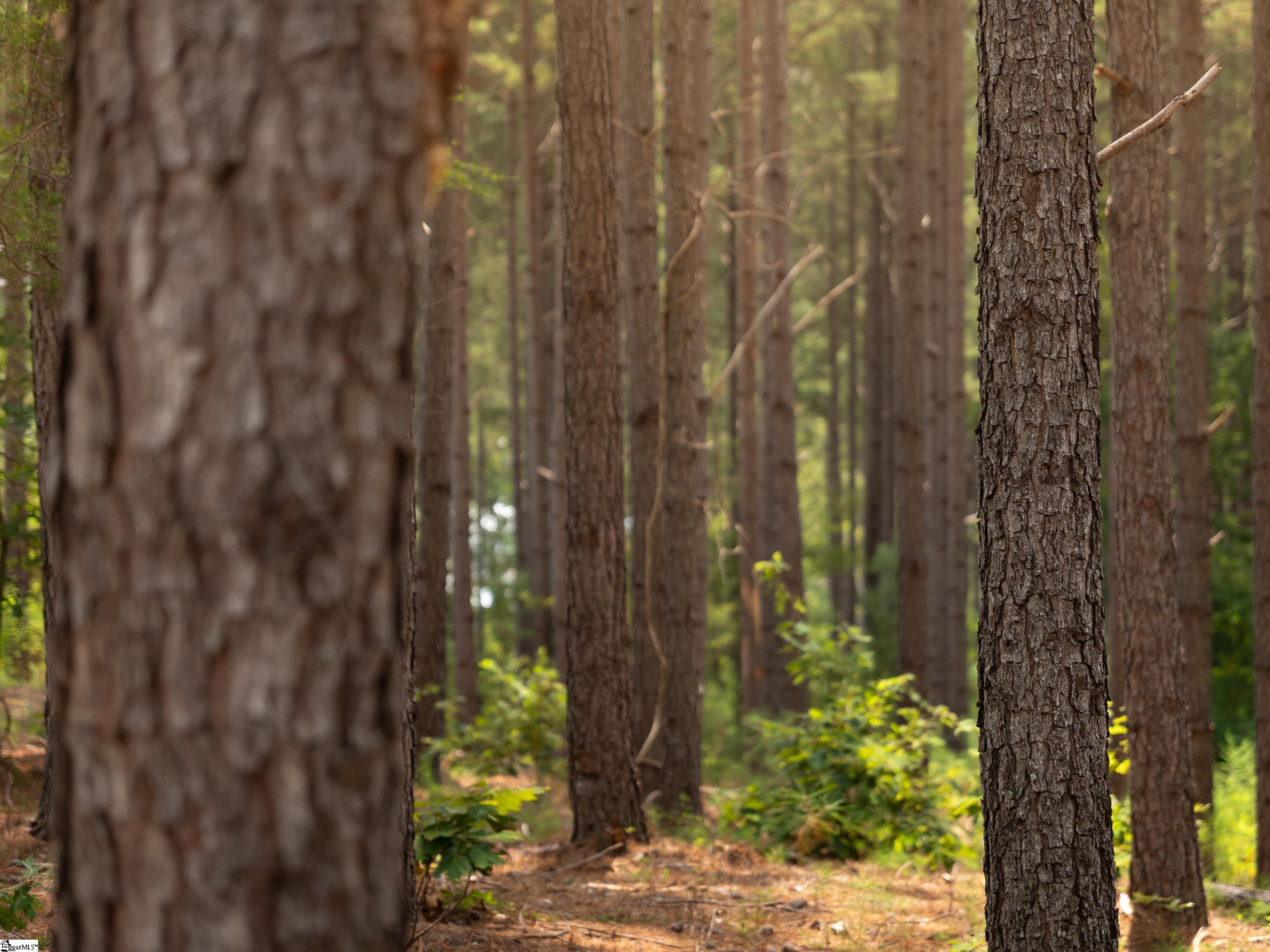 4 Gault Creek Road Jonesville, SC 29353 - Photo 7 of 37