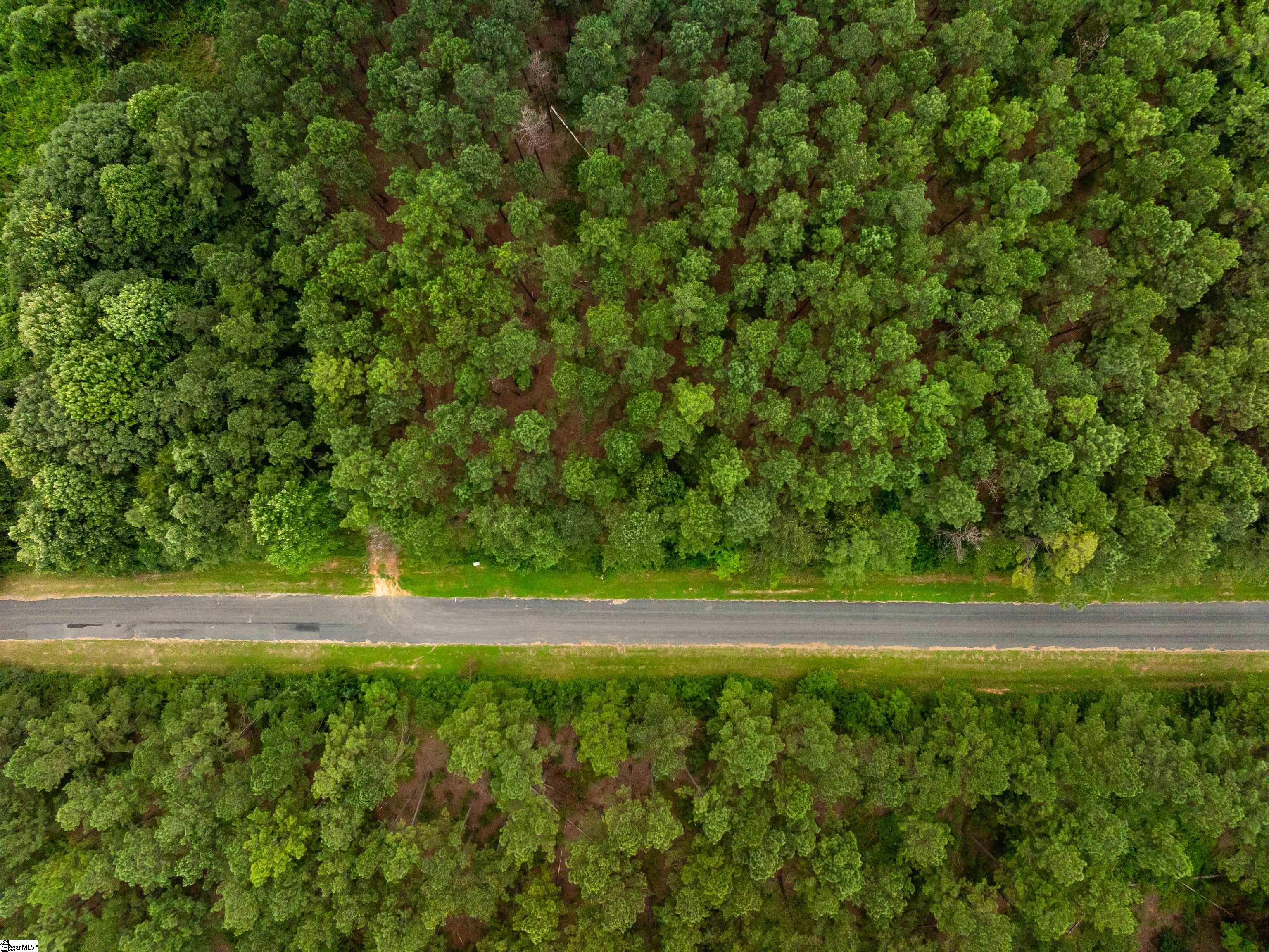 4 Gault Creek Road Jonesville, SC 29353 - Photo 9 of 37