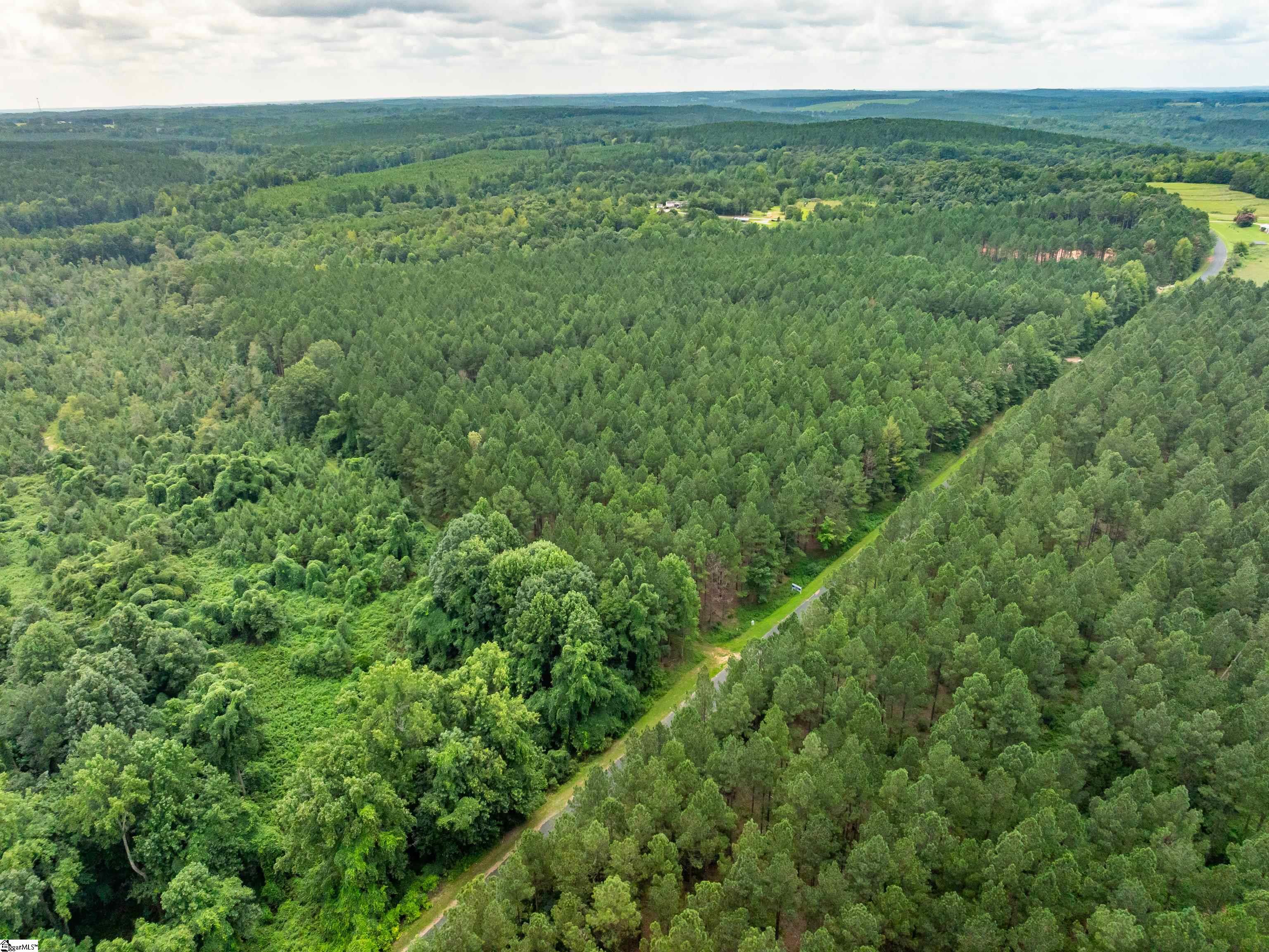 4 Gault Creek Road Jonesville, SC 29353 - Photo 10 of 37