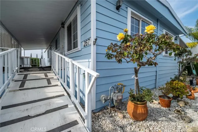 a view of a house with potted plants