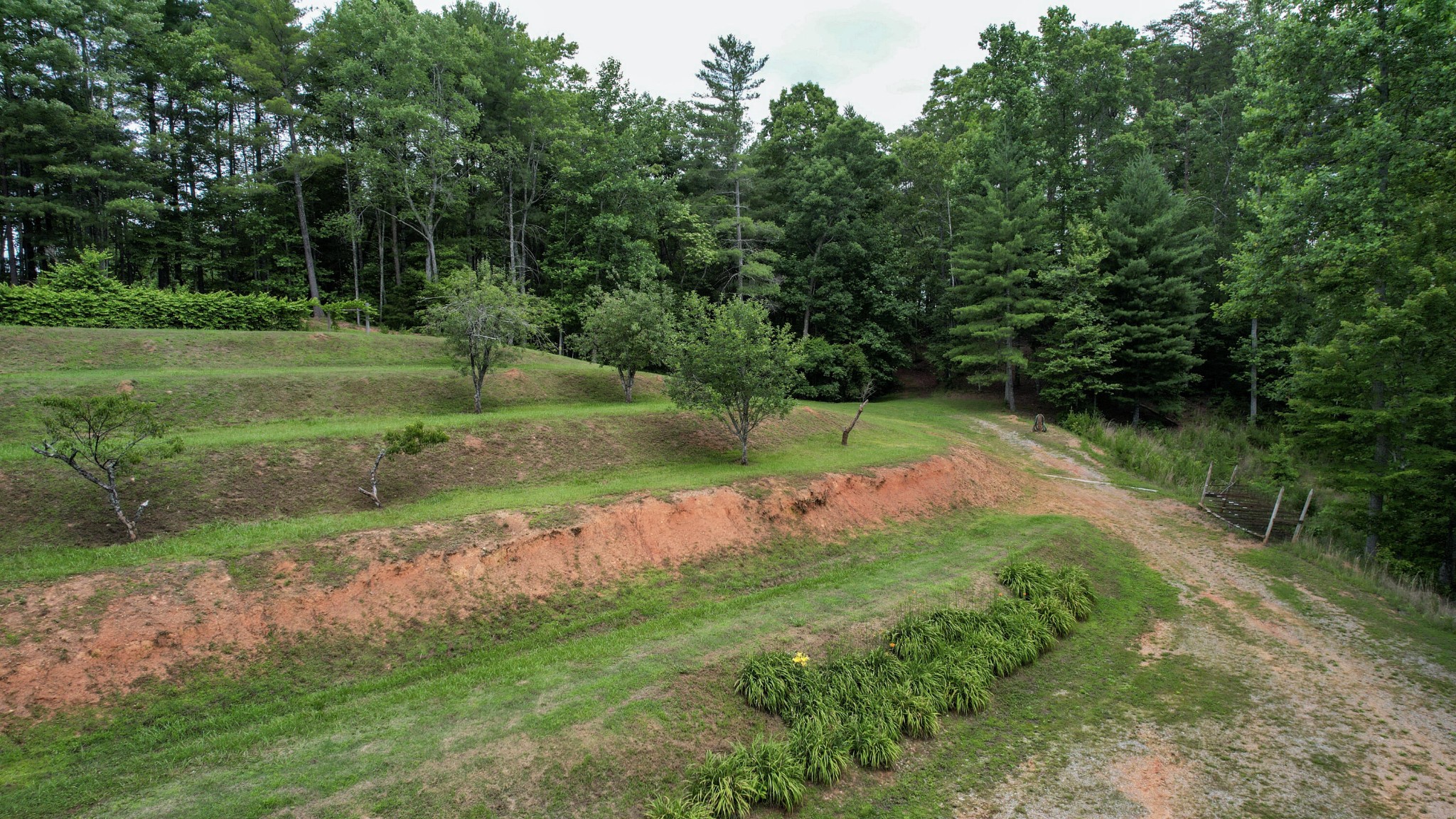 201 Campbell Branch Road Reliance, TN 37369 - Photo 54 of 99