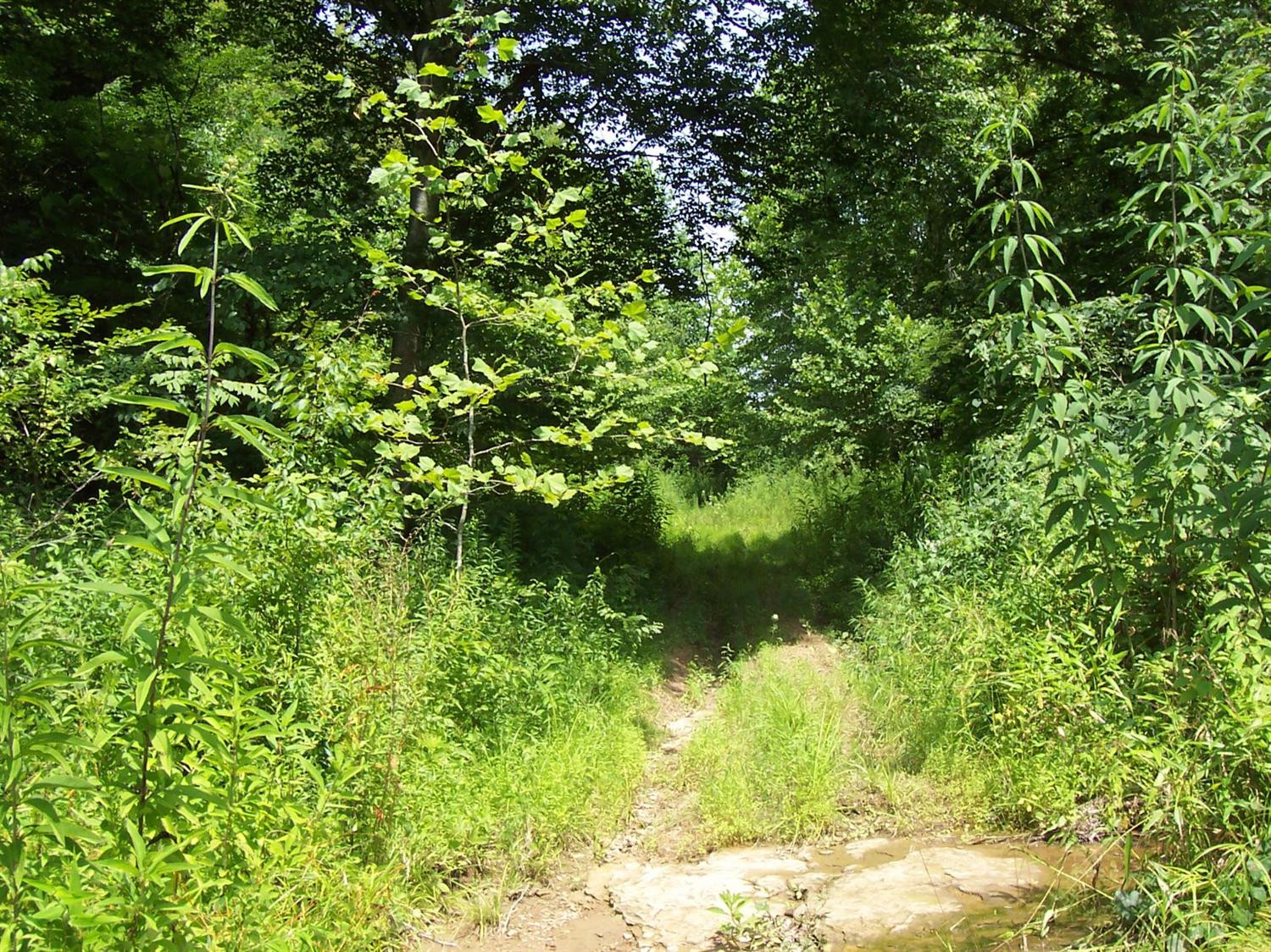 1 Fox Hollow Road Beattyville, KY 41311 - Photo 17 of 20 Photo 17
