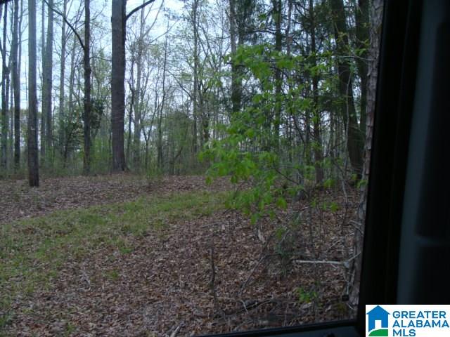 406 Caffe Ridge, Unit PARCEL Woodstock, AL 35188 - Photo 15 of 30