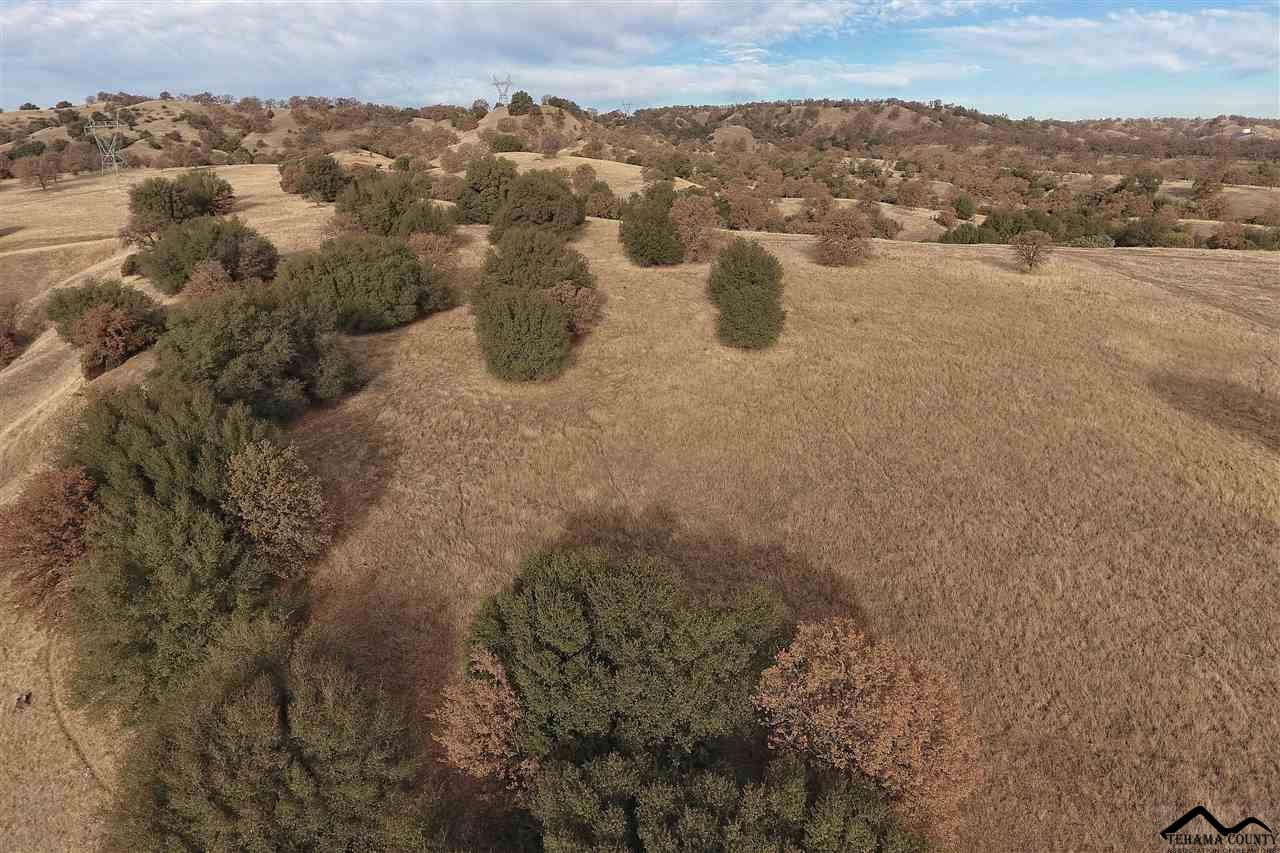 1 Riverview Ranch Road Red Bluff, CA 96080 - Photo 15 of 55 Gallery Image 15