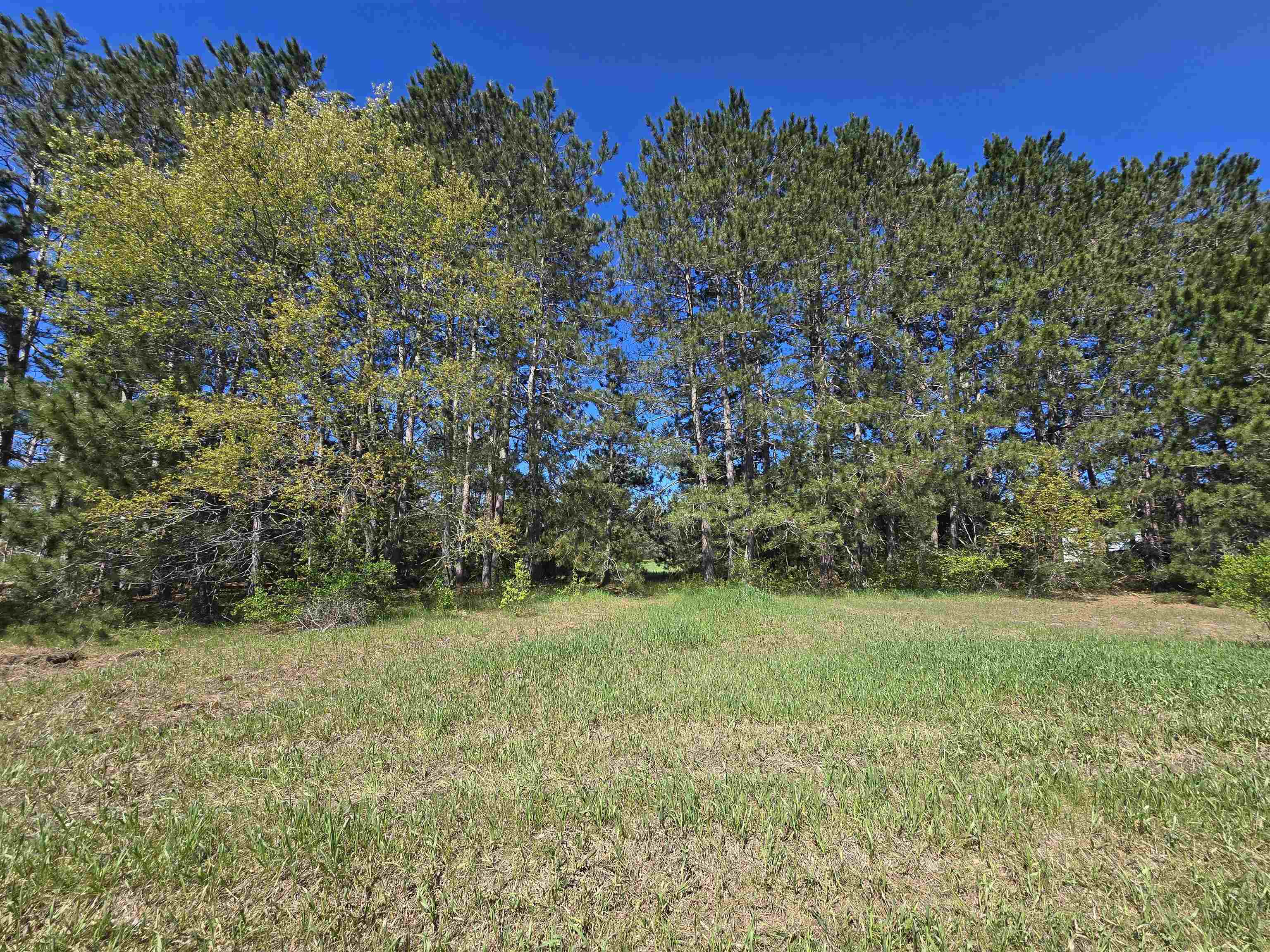 0 North 3 Road Mesick, MI 49668 - Photo 2 of 6