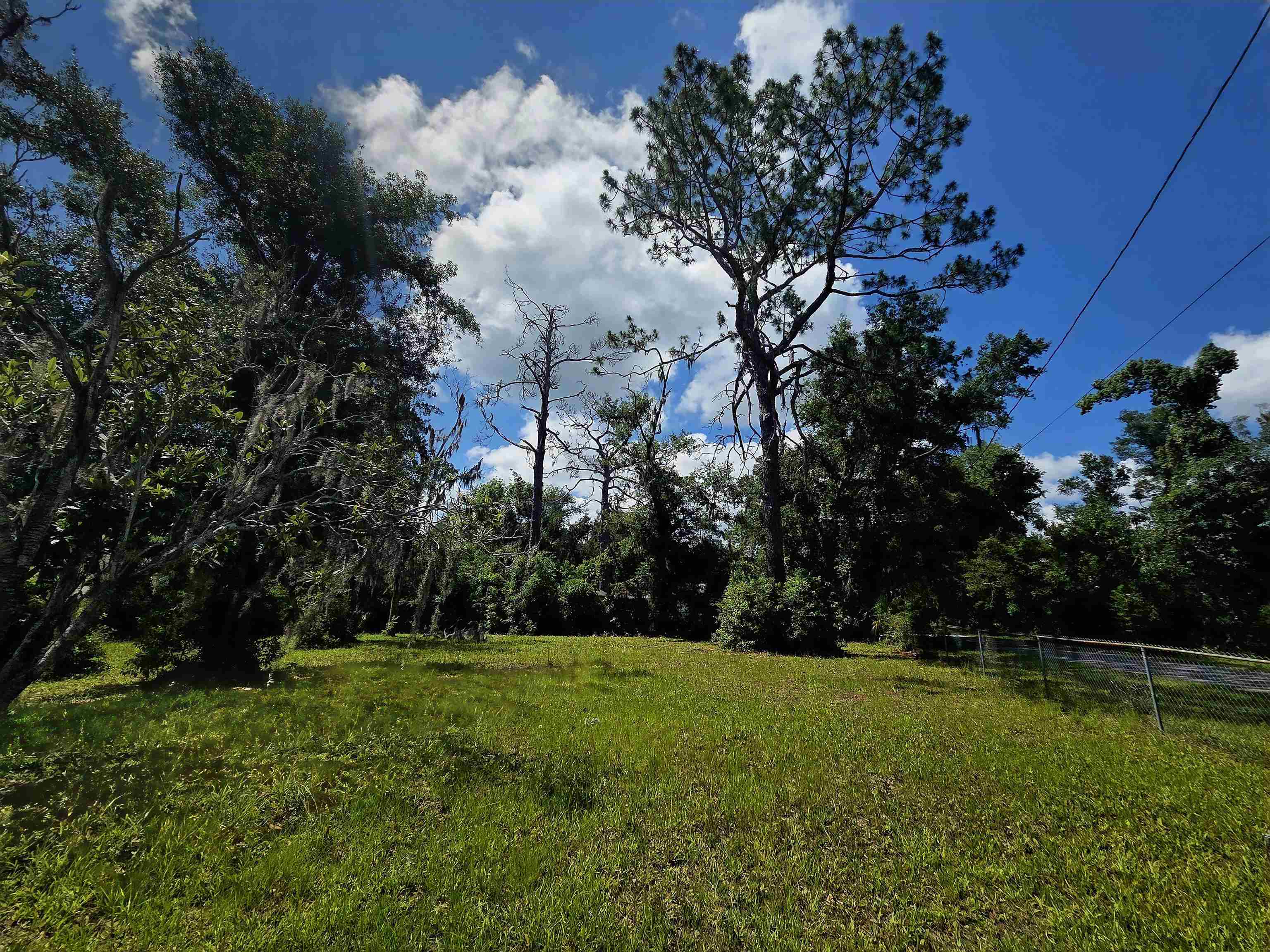 6-8 North Washington Street Perry, FL 32347 - Photo 2 of 15