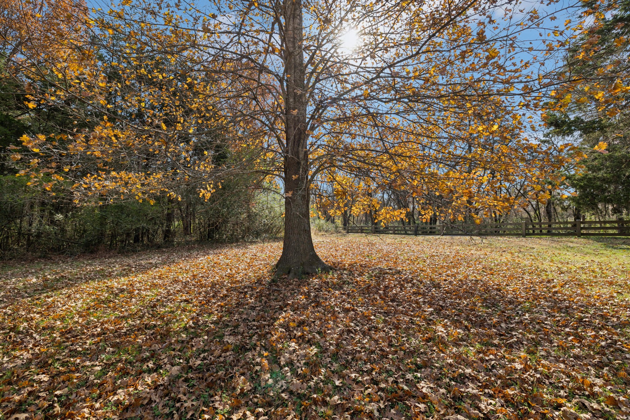 1560 River Road Chapel Hill, TN 37034 - Photo 14 of 80 a view of outdoor space with deck