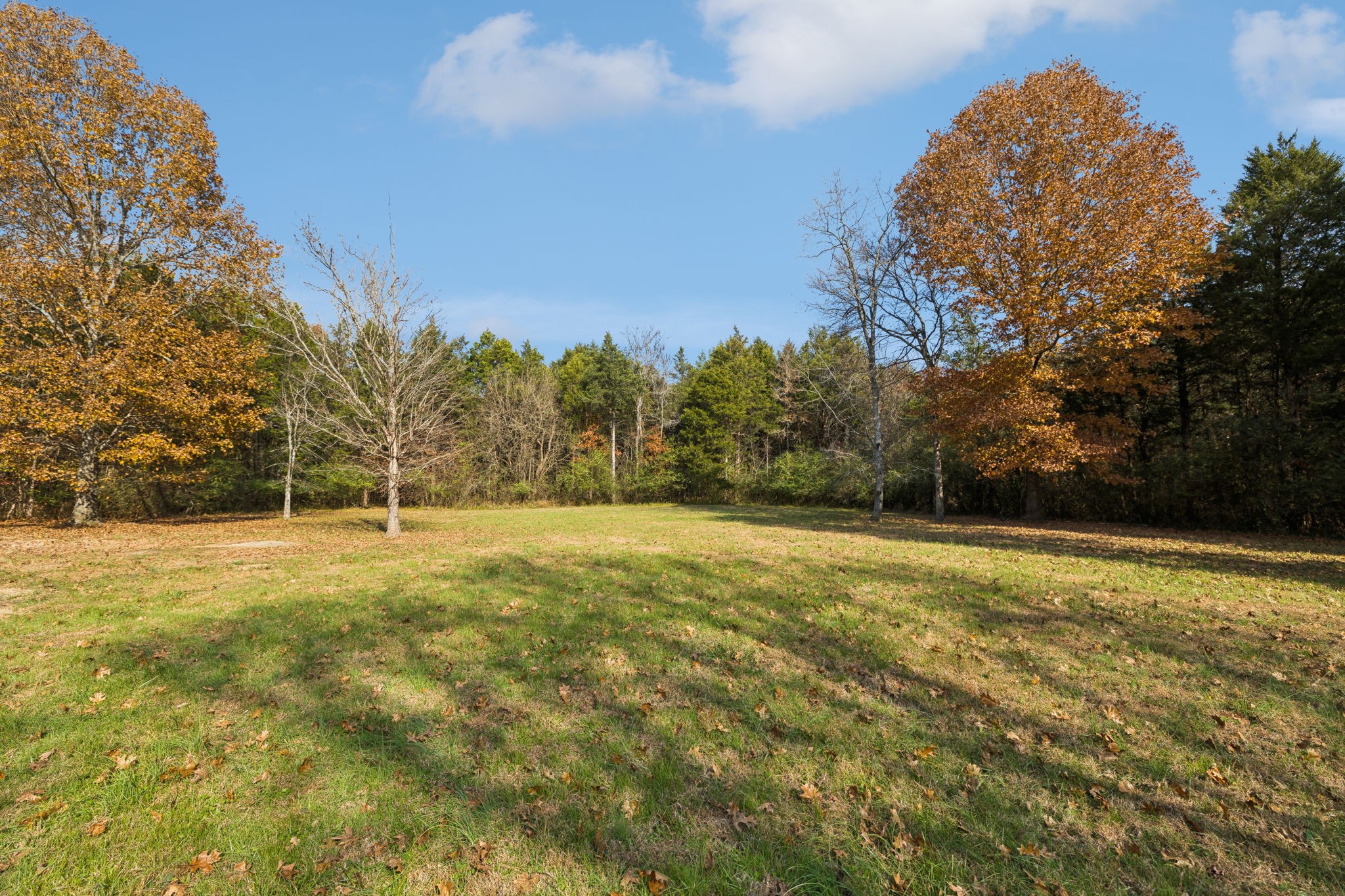 1560 River Road Chapel Hill, TN 37034 - Photo 64 of 80 a view of a field with trees in the background