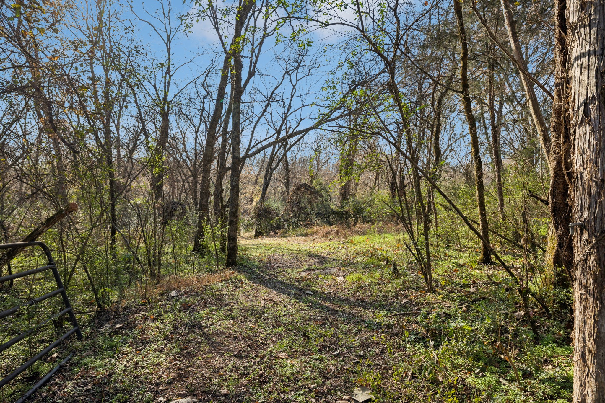 1560 River Road Chapel Hill, TN 37034 - Photo 65 of 80