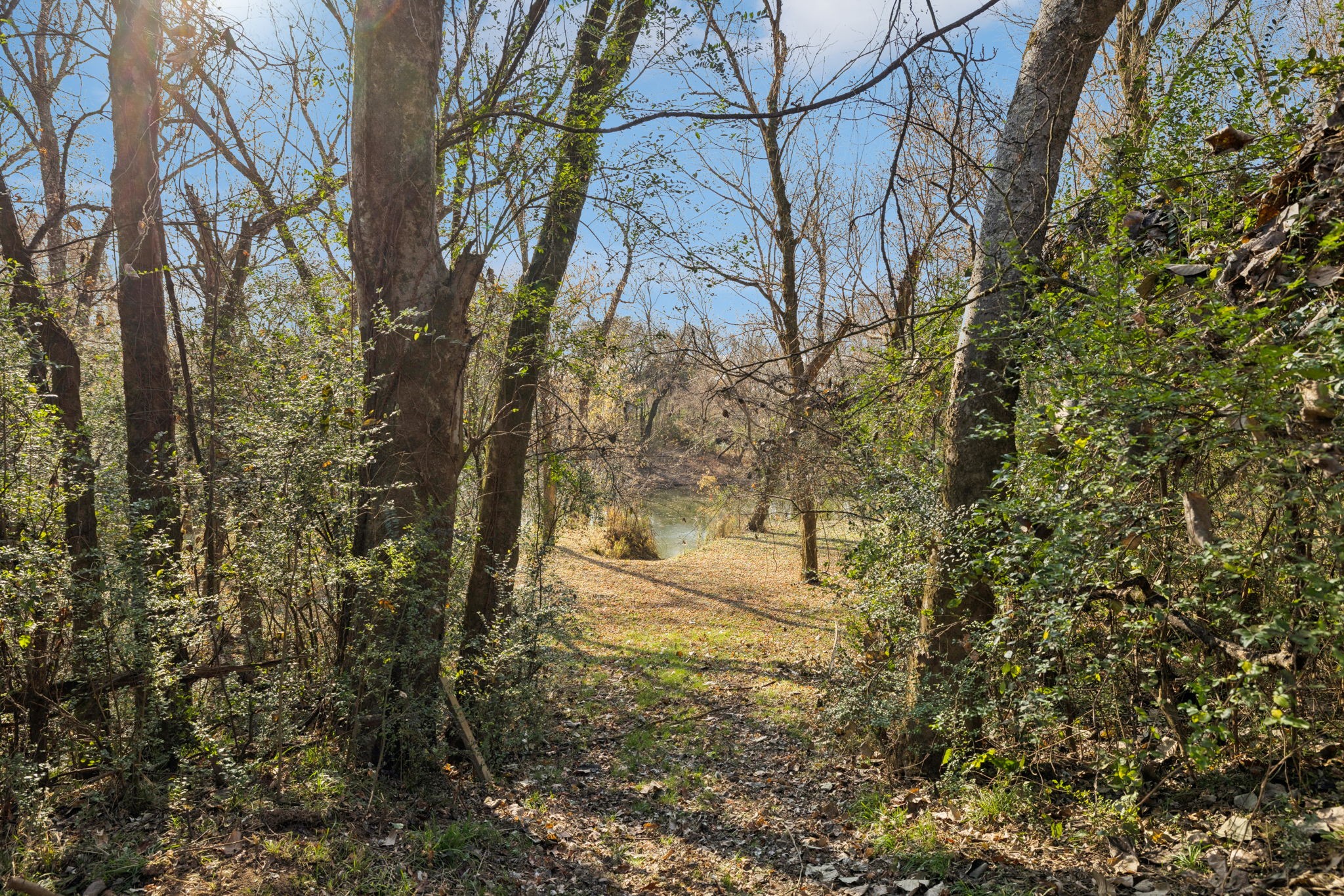 1560 River Road Chapel Hill, TN 37034 - Photo 66 of 80