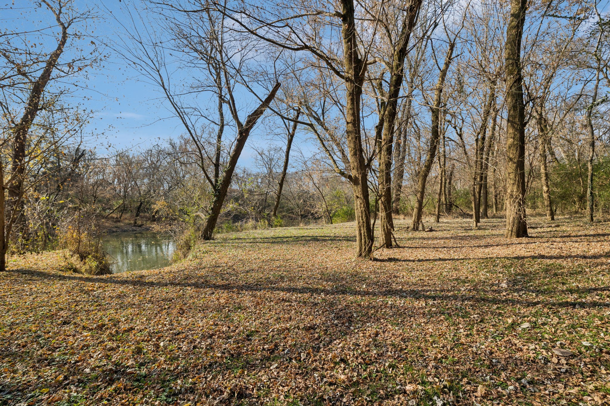 1560 River Road Chapel Hill, TN 37034 - Photo 68 of 80 a view of outdoor space with trees