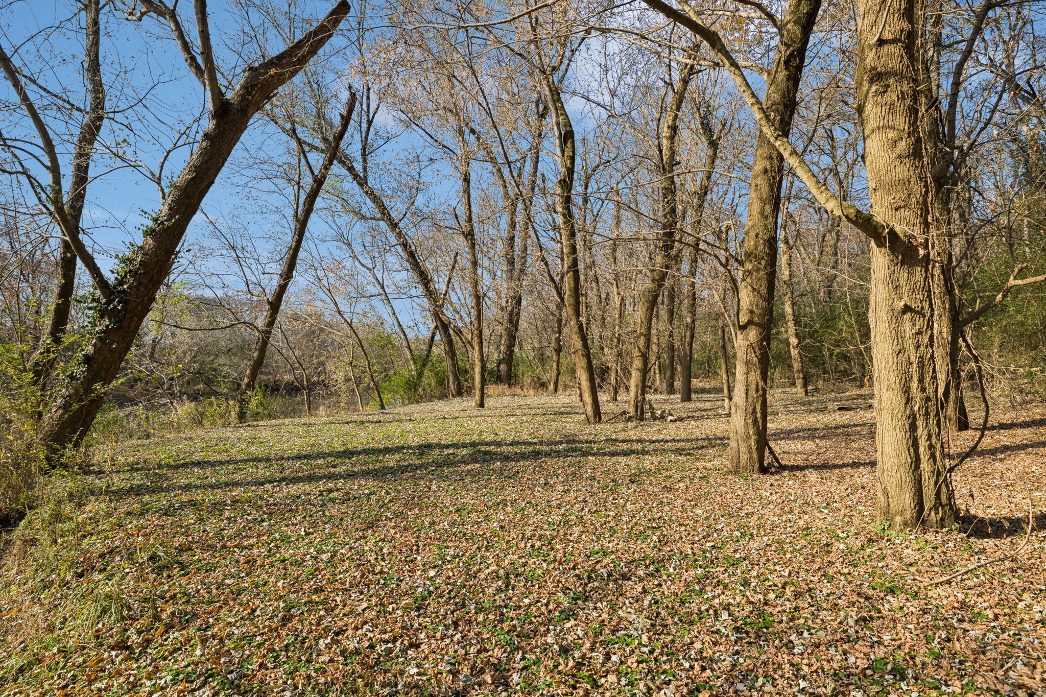 1560 River Road Chapel Hill, TN 37034 - Photo 69 of 80