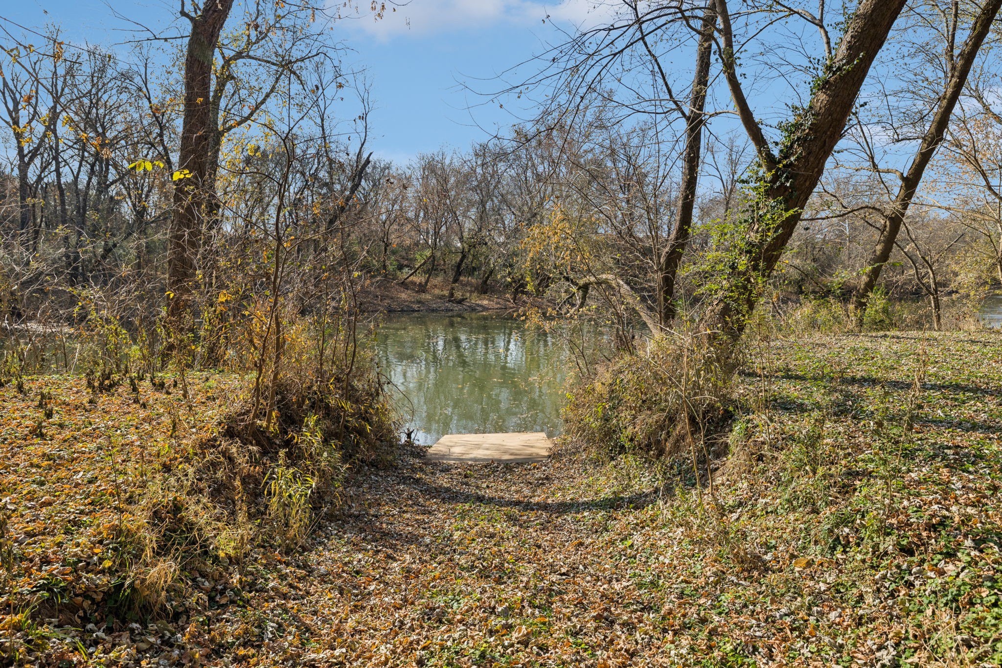 1560 River Road Chapel Hill, TN 37034 - Photo 70 of 80 a view of a lake with a tree
