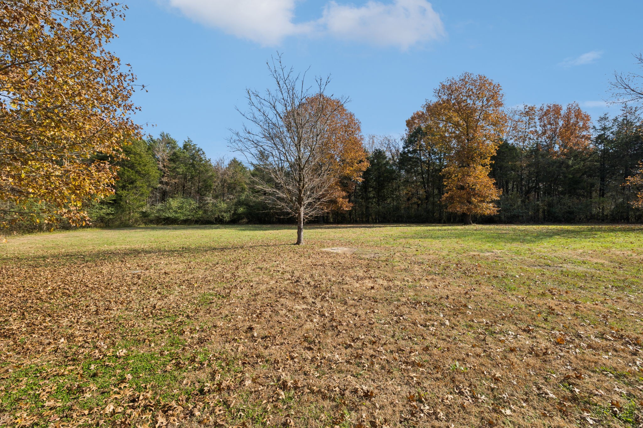 1560 River Road Chapel Hill, TN 37034 - Photo 7 of 80