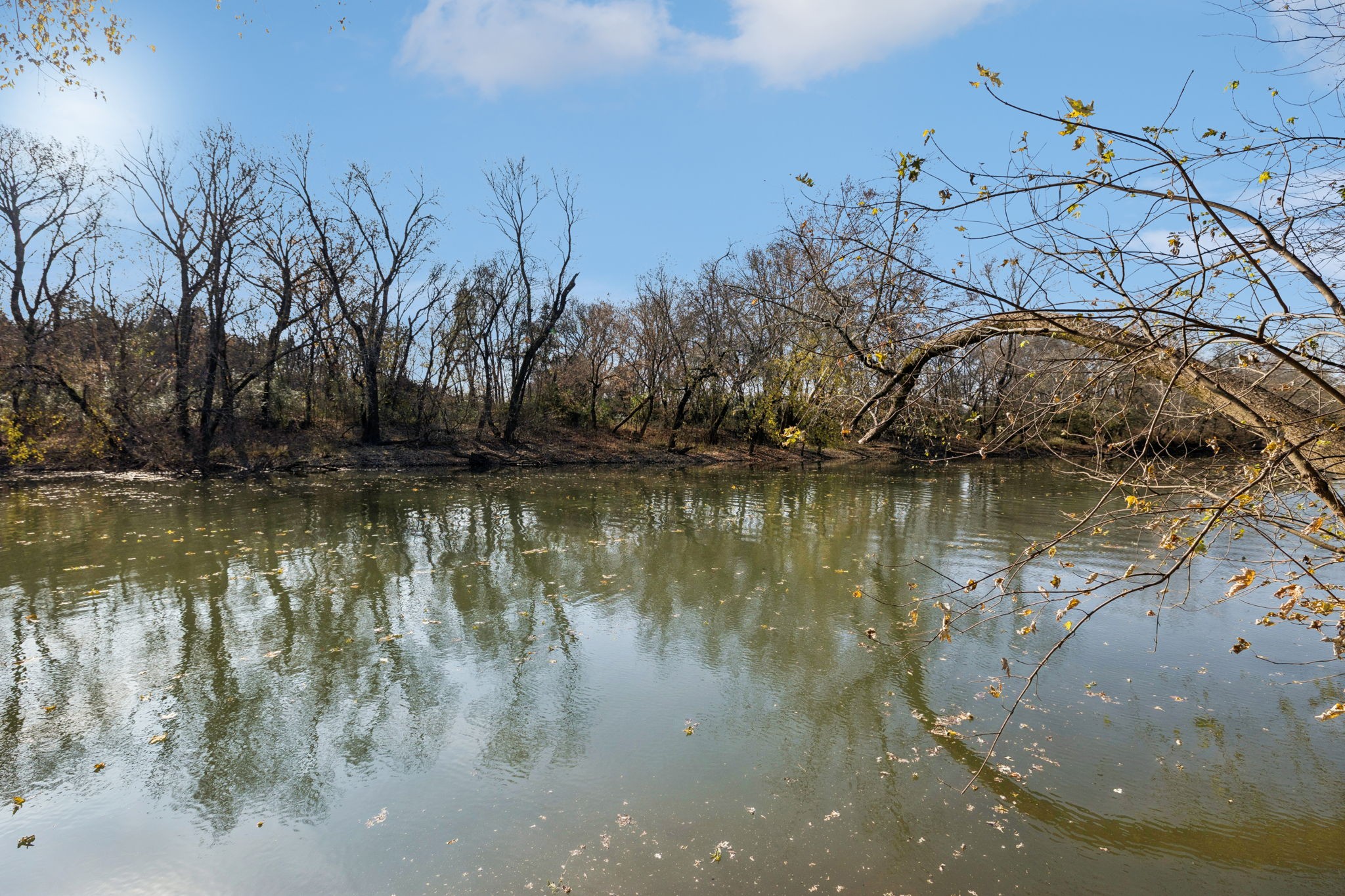 1560 River Road Chapel Hill, TN 37034 - Photo 71 of 80