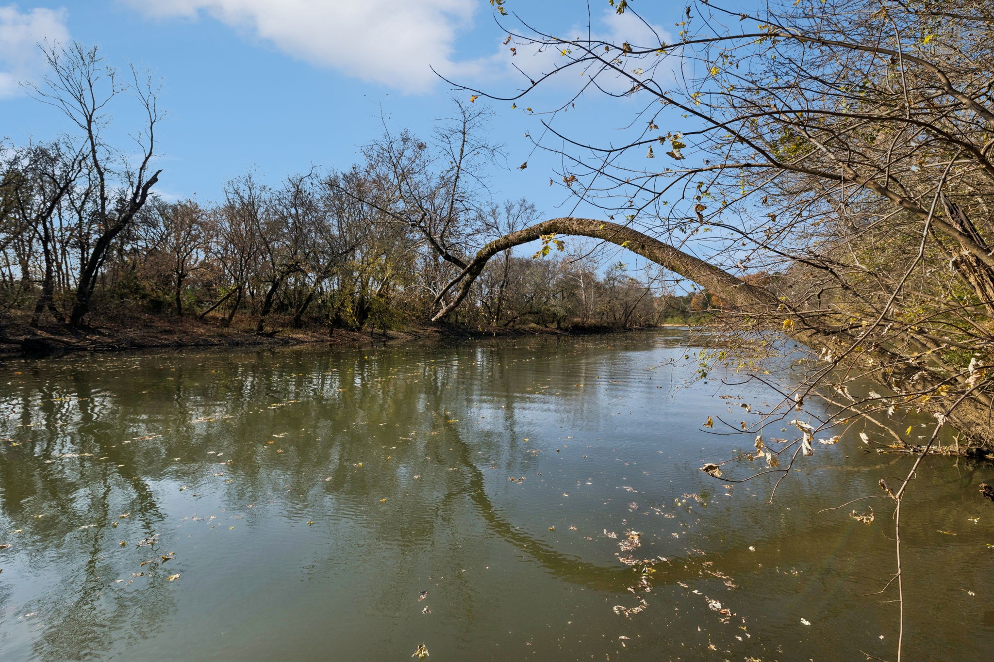 1560 River Road Chapel Hill, TN 37034 - Photo 72 of 80 a view of a lake in middle of forest