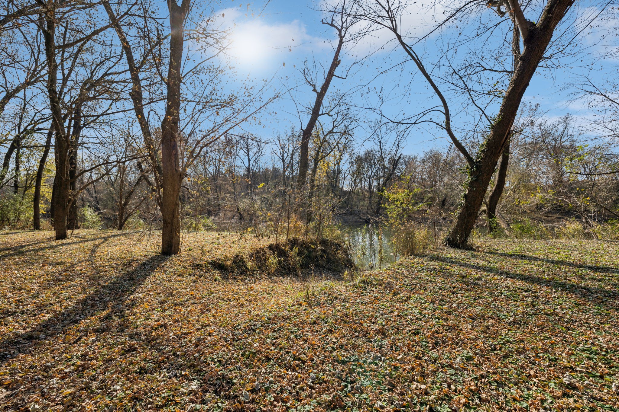 1560 River Road Chapel Hill, TN 37034 - Photo 75 of 80 a view of a yard with trees