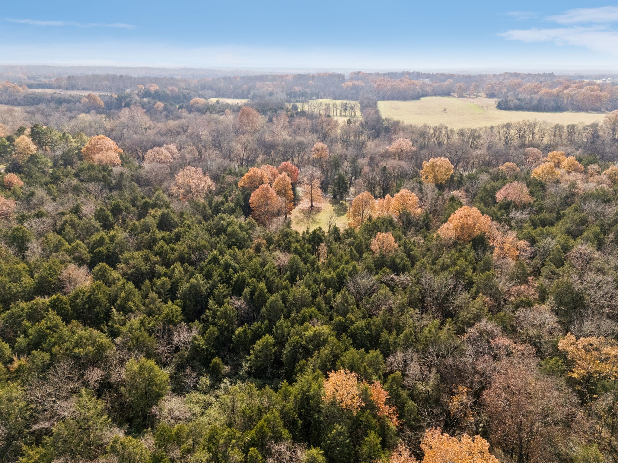 1560 River Road Chapel Hill, TN 37034 - Photo 77 of 80