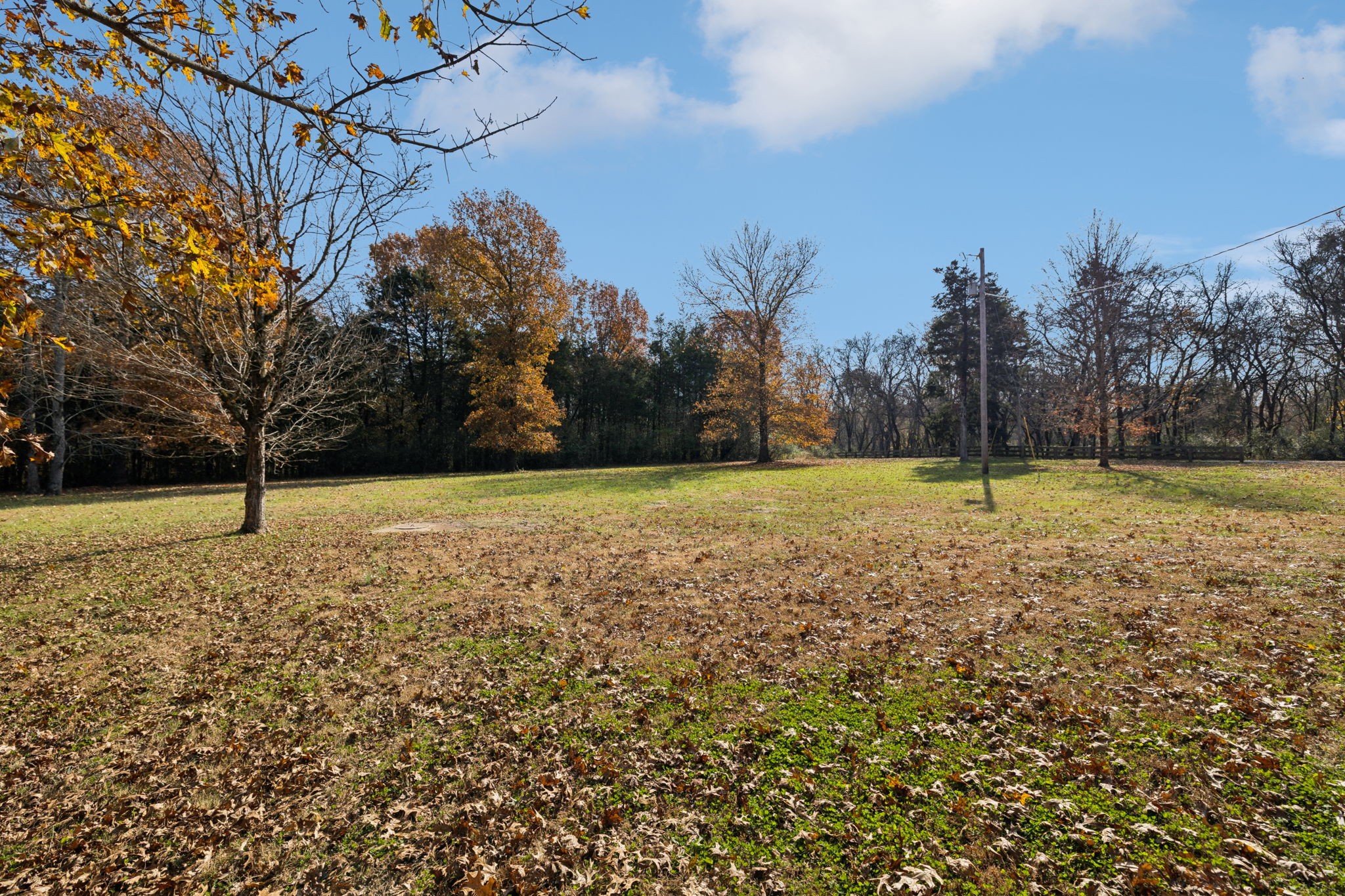 1560 River Road Chapel Hill, TN 37034 - Photo 8 of 80 a view of a yard with a house