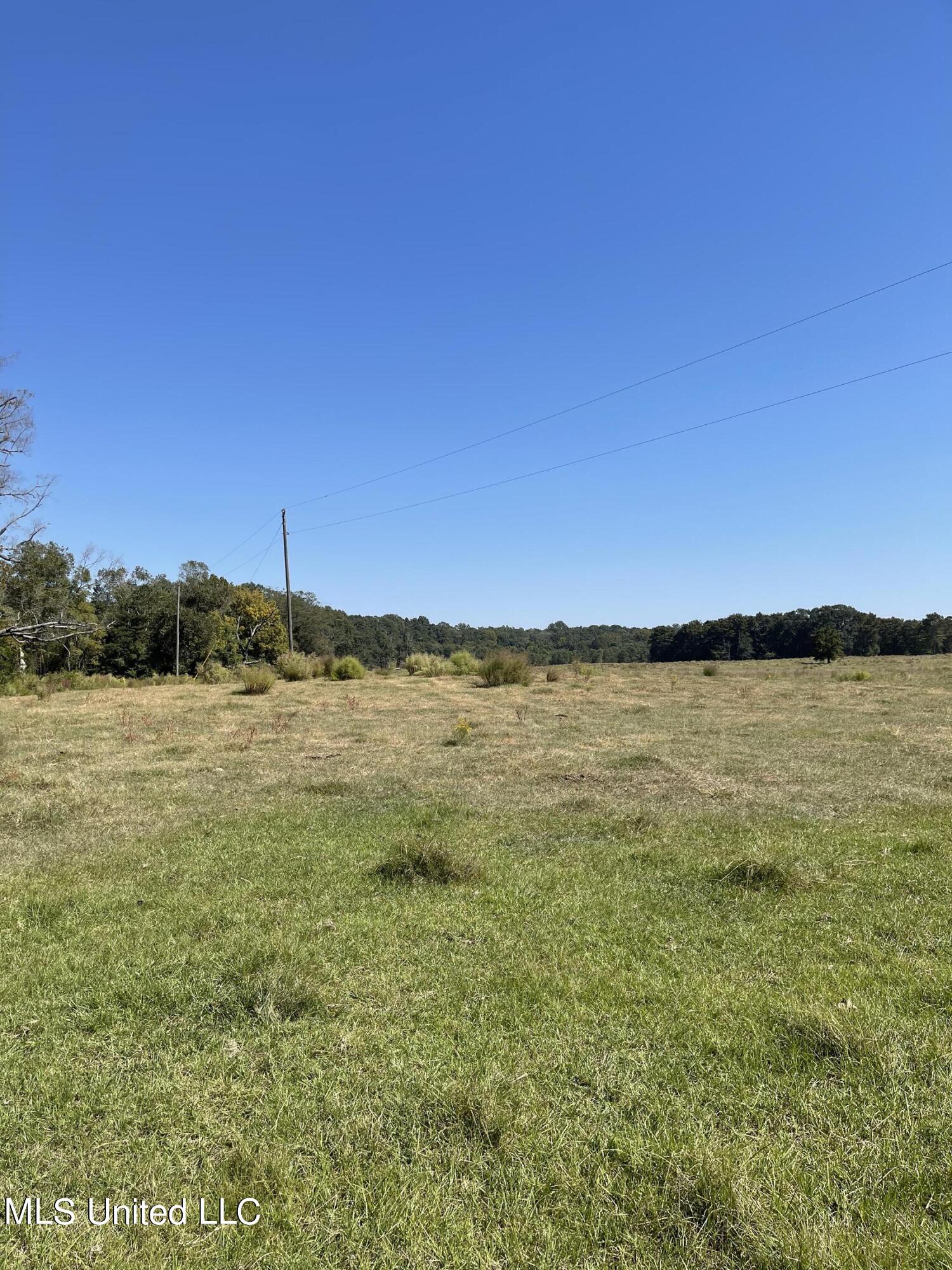 Myles Station Road Hermanville, MS 39086 - Photo 3 of 10 CB9A25D1-670A-4948-BFB7-DC97FE81EB74
