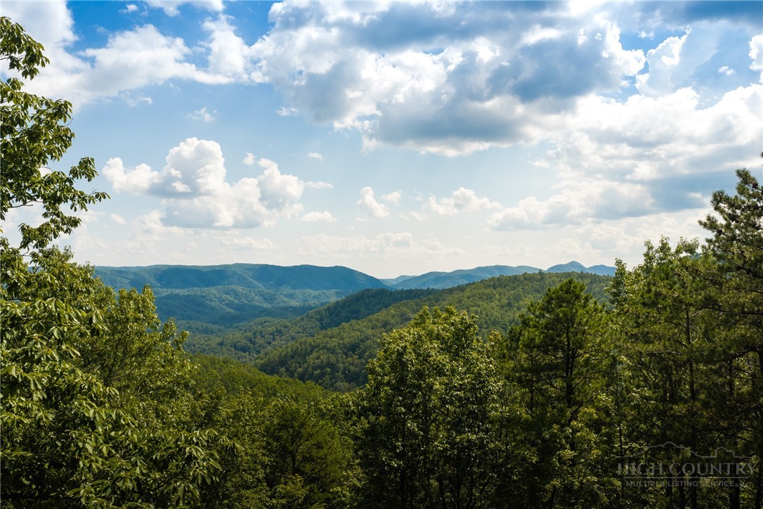 1303 Reynolds Parkway Boone, NC 28607 - Photo 16 of 50 Gallery Image 16