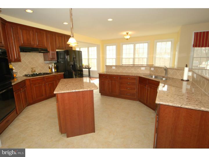 517 Radek Court West Chester, PA 19382 - Photo 4 of 25 Kitchen