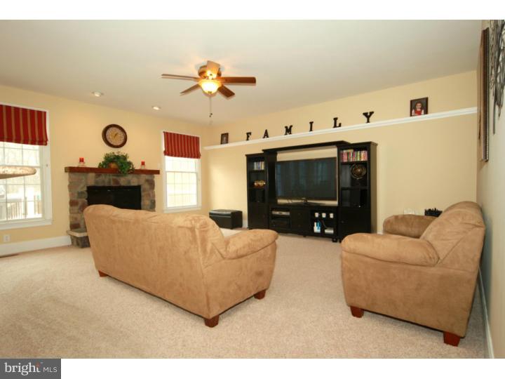 517 Radek Court West Chester, PA 19382 - Photo 7 of 25 Family Room