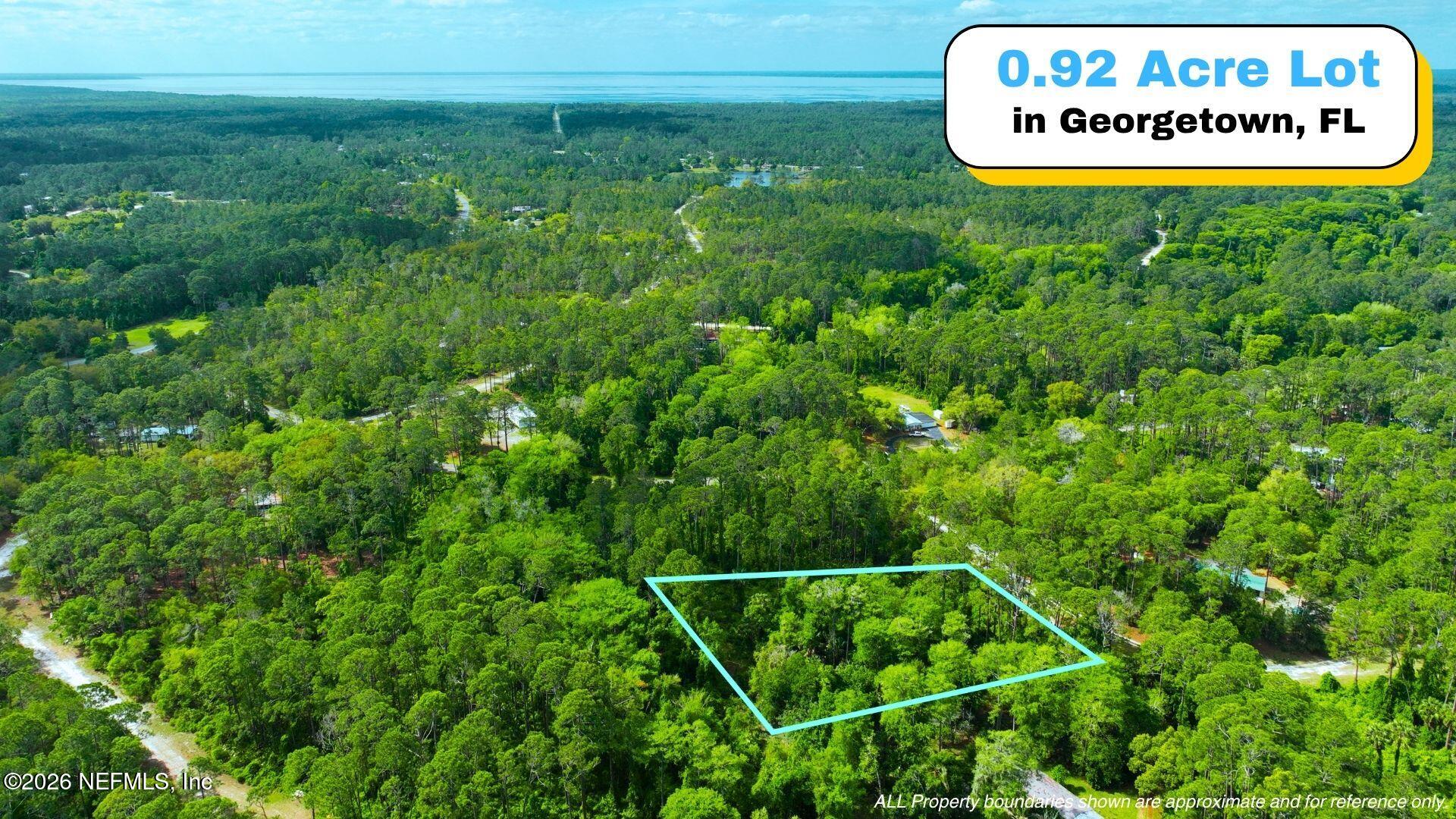 102 Hyacinth Court Georgetown, FL 32139 - Photo 2 of 9 0-1_2
